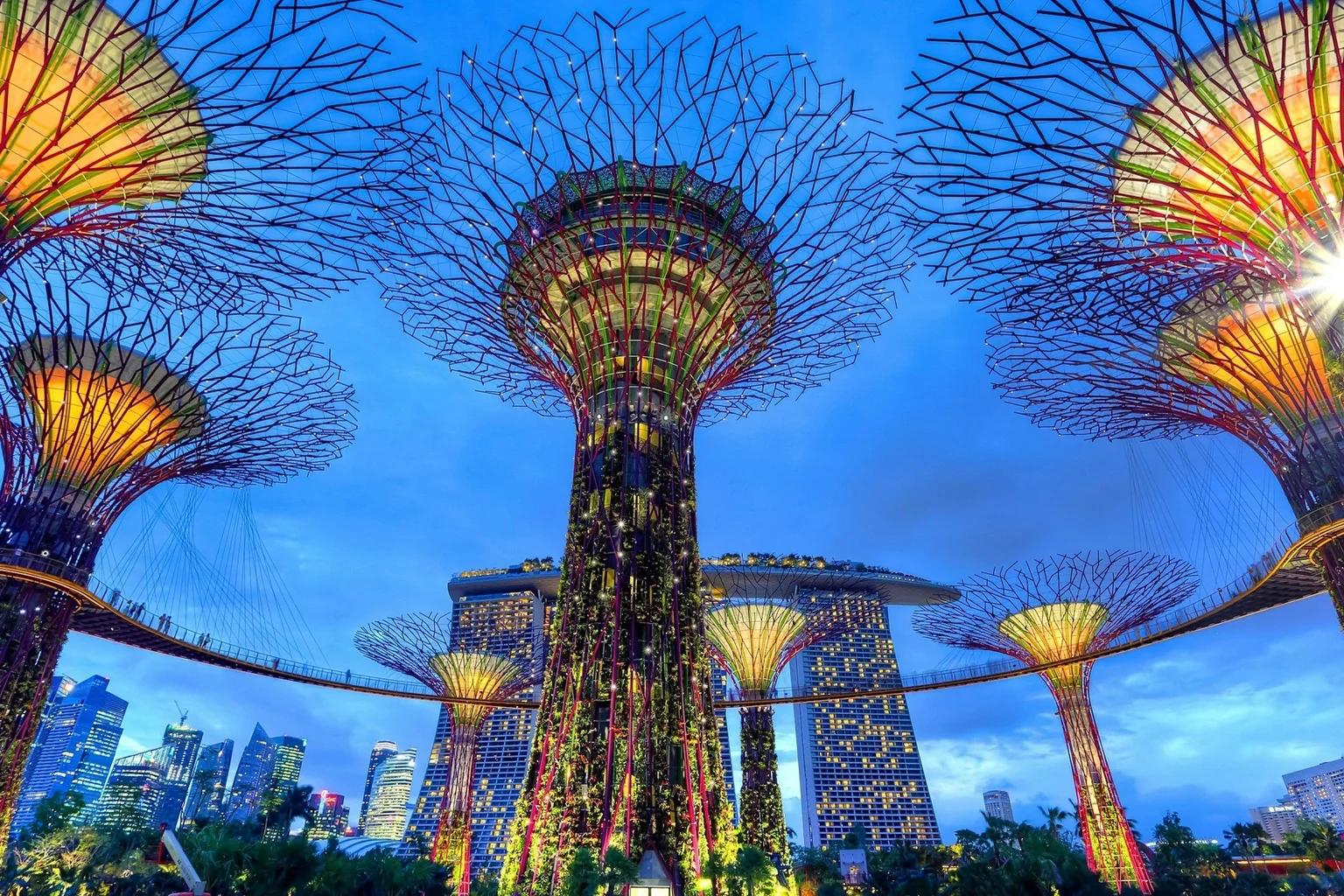 Singapore Global Investor Programme 2026: How Does It Work?